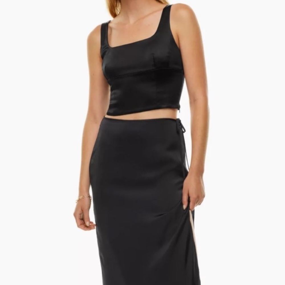 Aritzia Shine Bustier